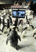 Mr. Popper s Penguins Fragmanı Fragmanı